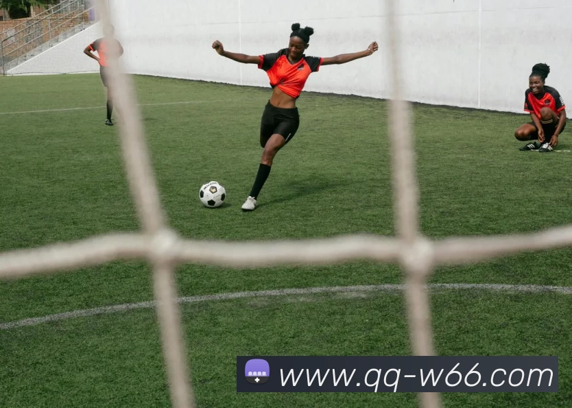 利来国际发展历程